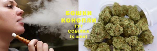 ГАЛЛЮЦИНОГЕННЫЕ ГРИБЫ Строитель
