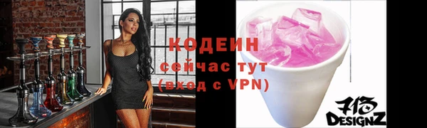 ГАЛЛЮЦИНОГЕННЫЕ ГРИБЫ Строитель