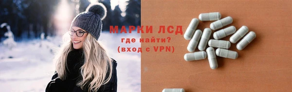 ГАЛЛЮЦИНОГЕННЫЕ ГРИБЫ Строитель