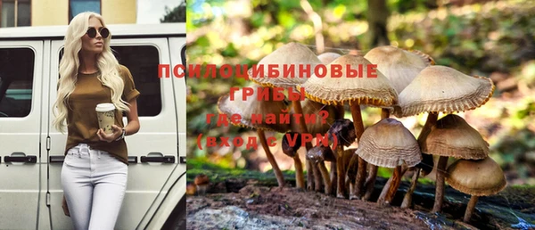 apvp Ступино
