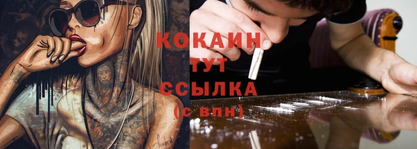 ГАЛЛЮЦИНОГЕННЫЕ ГРИБЫ Строитель
