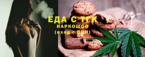 ГАЛЛЮЦИНОГЕННЫЕ ГРИБЫ Строитель