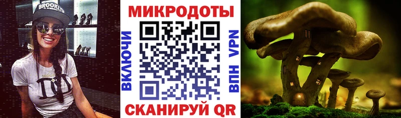 Псилоцибиновые грибы мицелий  Первомайск 